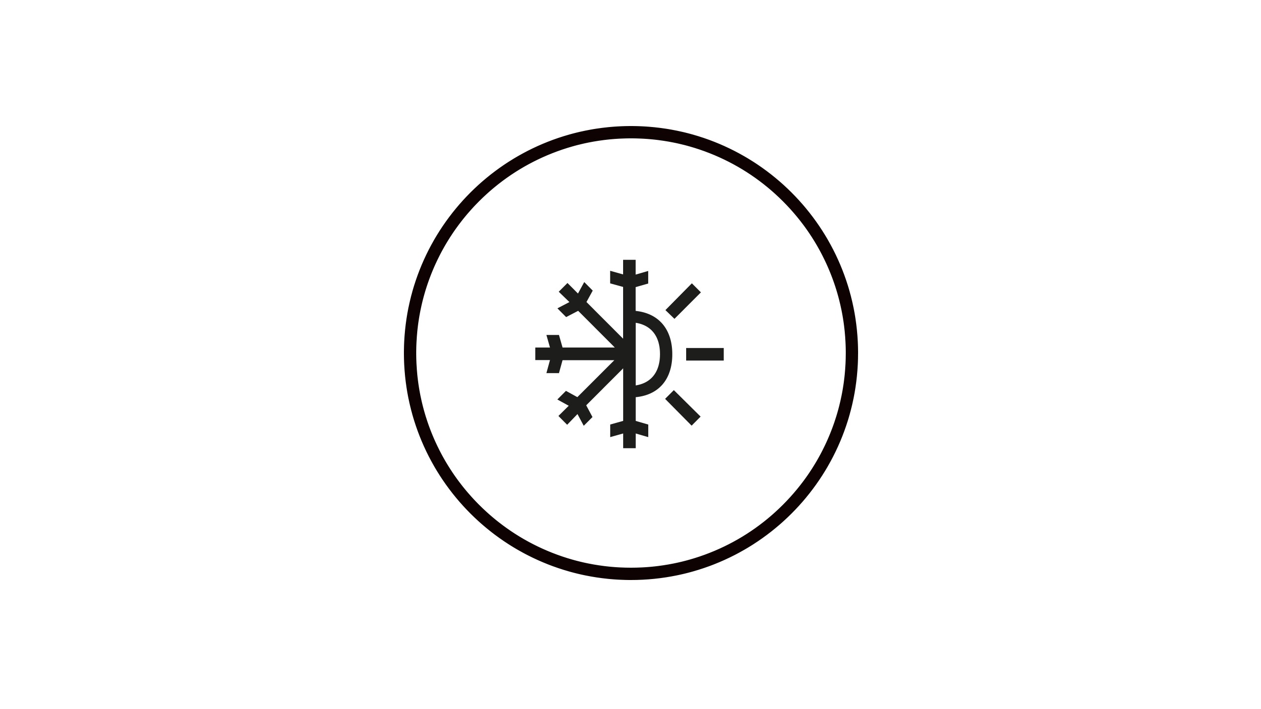 dacia-editorial-aftersales-054